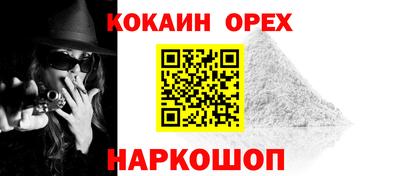 ECSTASY Новодвинск