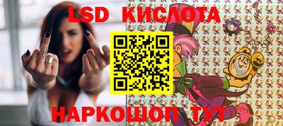 ECSTASY Новодвинск