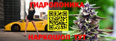 ECSTASY Новодвинск